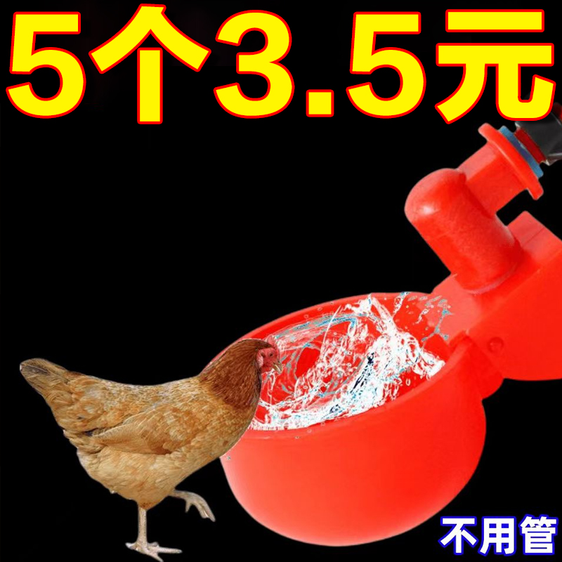 鸡鸭鹅自动水碗饮水器养鸡养殖设备喂
