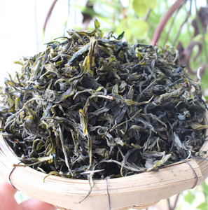 新品2019年春尾茶 原生态老树炒青绿茶雨前农家纯手工制茶叶500g