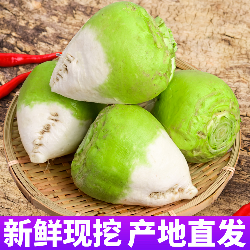 芥菜疙瘩新鲜大头菜当季时令蔬菜咸菜下饭菜芥菜丝辣菜酱菜菜农家在类目 水产肉类/新鲜蔬果/熟食, 新鲜蔬菜/蔬菜制品, 新鲜蔬菜, 其它中 - 来自Buy2taobao.com提供专业的淘宝代购服务