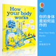Usborne How Your Body Works 尤斯伯恩 你的身体是如何运作的 儿童科普早教 英语常识 科普启蒙  亲子读物 9岁+ 英文原版进口图书