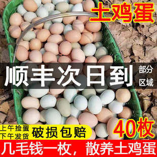 40枚虫草土鸡蛋农家散养新鲜土鸡蛋正宗农村放养土鸡蛋草鸡柴鸡蛋