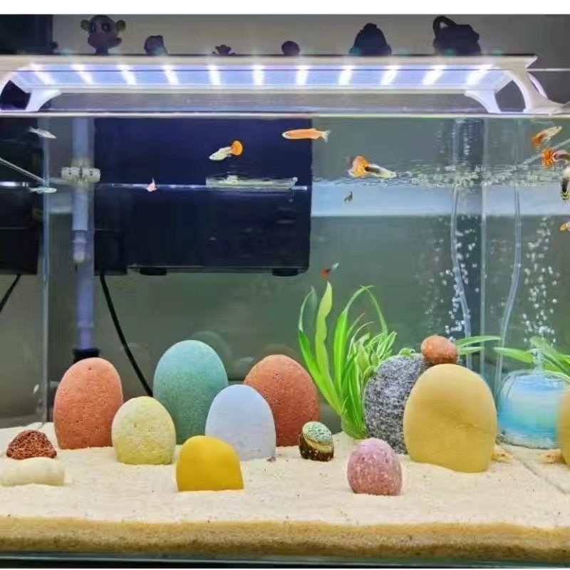 鱼缸布景长江彩石原生石头造景装饰鹅卵石组合三湖慈鲷天然长江石