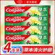 官方正品高露洁草本牙膏成人家用套装防蛀清新口气口腔清洁家庭装