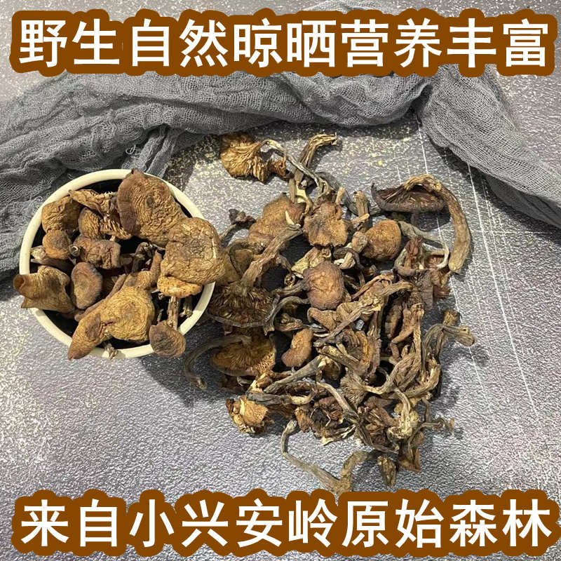 当年野生榛蘑干货东北小兴安岭伊春特产自然晾晒小鸡炖蘑菇名菜