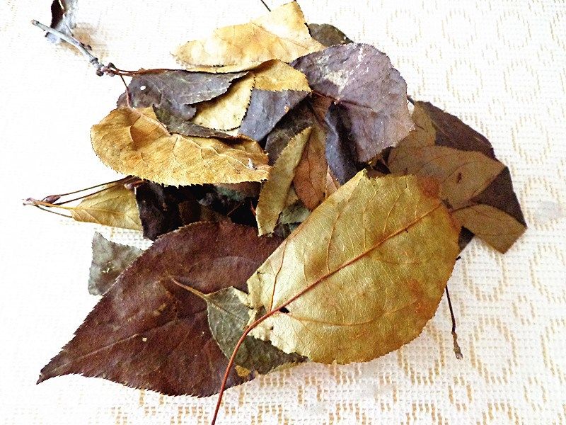 新茶湖北凉茶三皮罐海棠叶 老树三匹罐红茶大碗茶叶250g包邮.