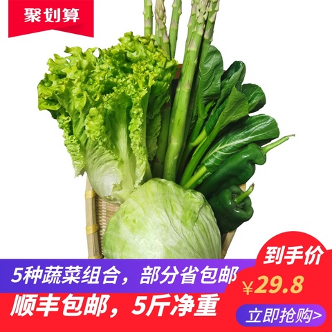 新鲜时令蔬菜组合5种 球生菜  罗莎绿 芦笋广东菜心等蔬菜净重5斤