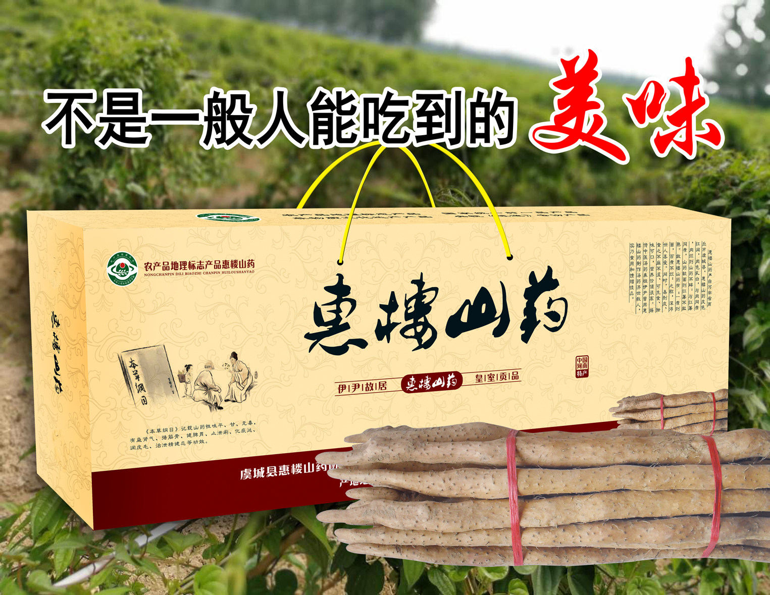 特价地理标志农产品_豫东特产惠楼山药小红皮品种,农产品地理标志,非