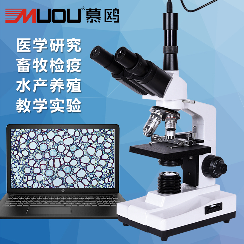 Trinocular/Binocular major Research high definition Biology children Microscope Aquatic products breed Dedicated Scientific experiments sperm Mite detection student teaching Researchin the Electronic Dictionary/Electronic paper book/Stationery , Drawing measurement products , Microscope category - from Buy2taobao.com to provide professional Taobao agent buy service