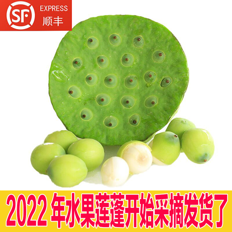 現摘新鮮蓮蓬 太空蓮蓬水果蓮蓬嫩蓮蓬生吃清甜加冰保鮮順豐包郵在類目 水產肉類/新鮮蔬果/熟食, 新鮮蔬菜/蔬菜製品, 新鮮蔬菜, 新鮮蓮蓬中 - 來自Buy2taobao.com提供專業的淘寶代購服務