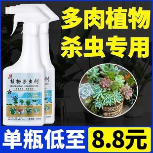 长寿花多肉肉植物月季花杀虫剂杀菌药介壳虫防虫药剂专用杀虫药剂