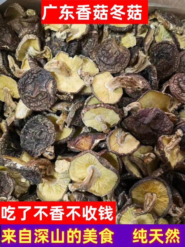 香菇十年老店正宗粤北特产新鲜冬菇优