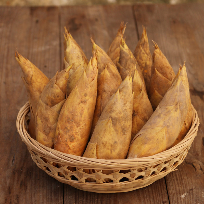 竹笋大全——其他用品