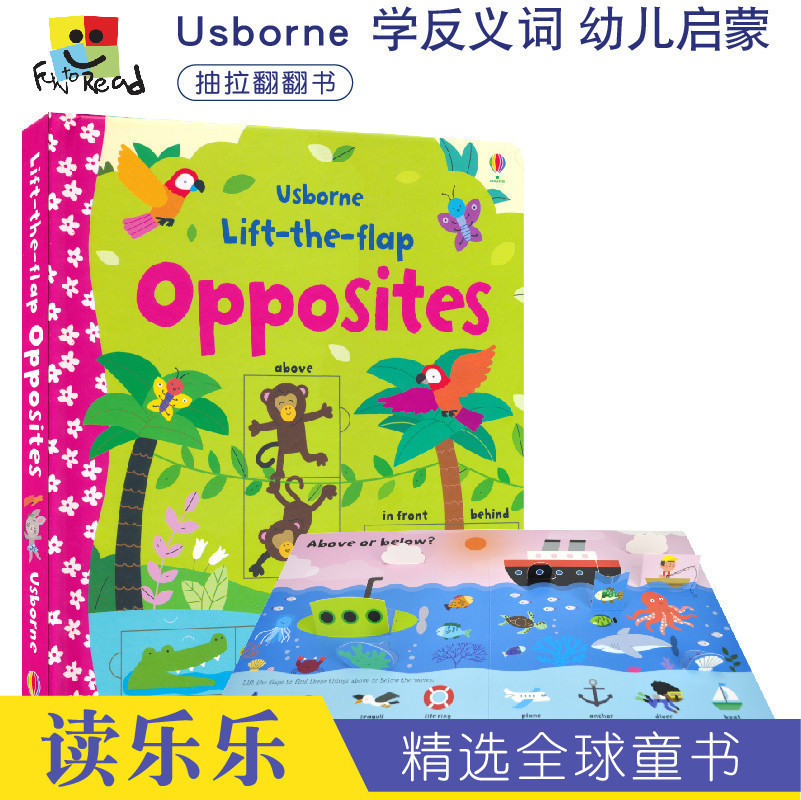 Usborne Lift The 