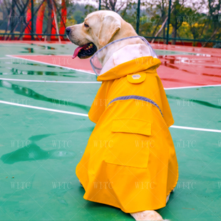狗雨衣中型犬大型犬金毛萨摩耶拉布拉多宠物狗雨披适合40-60斤狗