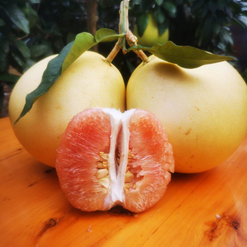 梁平柚蜜柚红心柚新鲜当季水果柚子红柚重庆2021年精品大果包邮