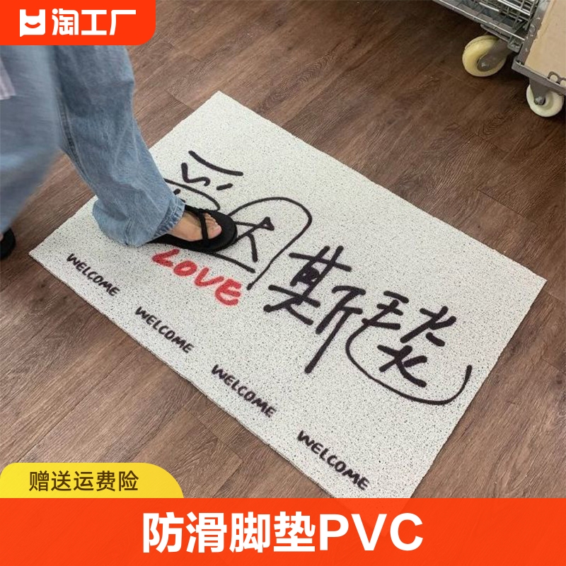 爱因斯毯进门脚垫pvc丝圈入户门地垫家用门口入户防滑地毯客厅