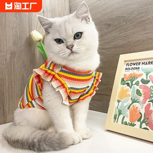 猫咪衣服春夏季薄款无袖防掉毛布偶蓝猫帅气公猫狗狗吊带背心裙子