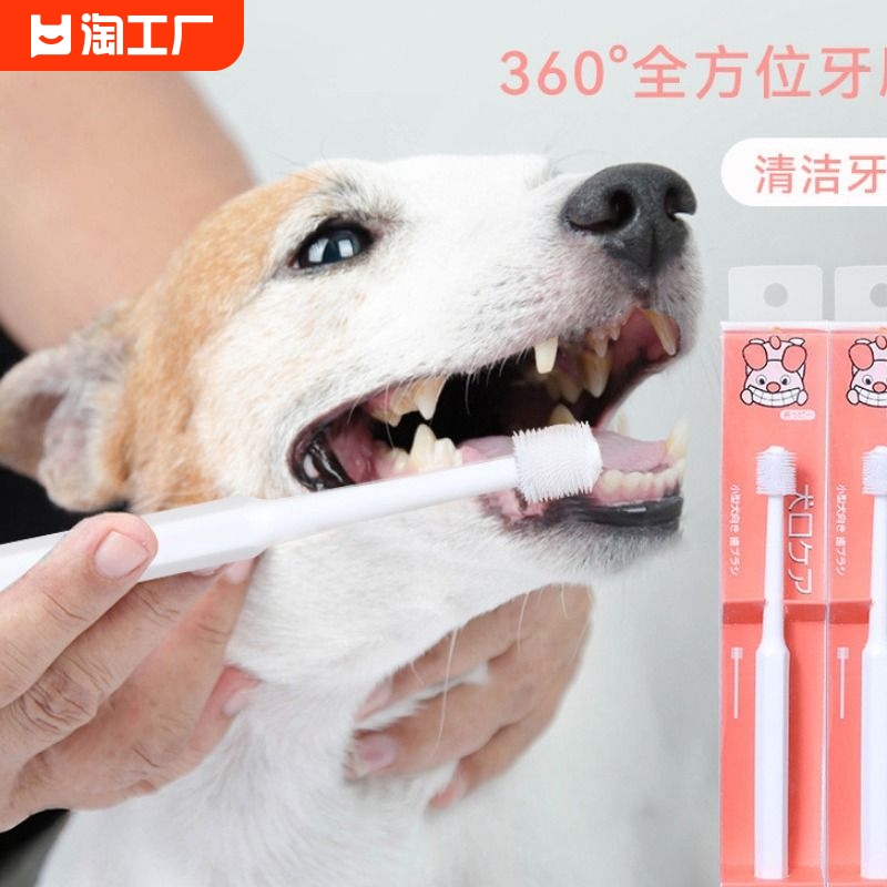 新品360度狗牙刷去牙垢清洁宠物口腔牙刷宠物美容清洁用品