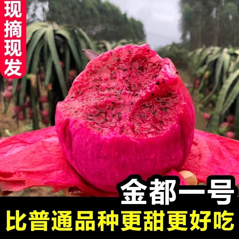 正宗金都一号火龙果红心超甜新鲜应季水果汁批发价一整箱1/3/5斤