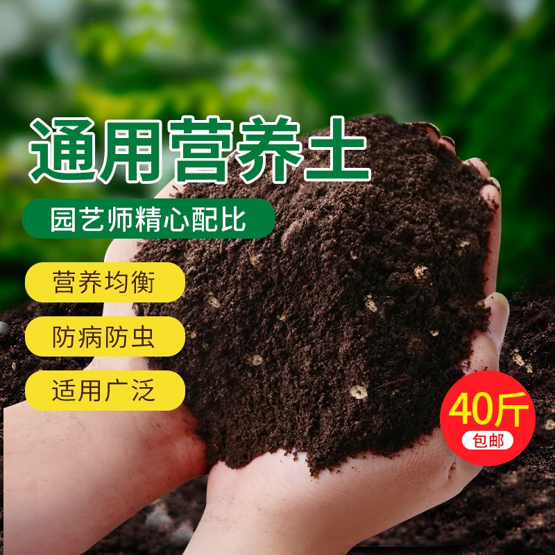 营养土养花通用型种菜专用种花土壤花肥多肉家用盆栽种植花土发酵