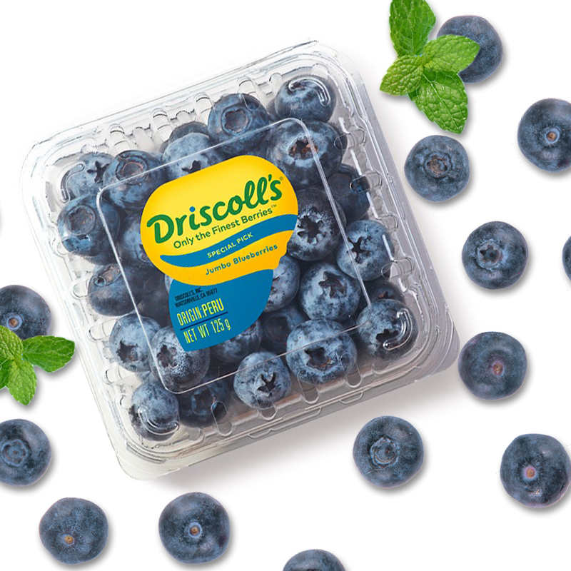 12盒装怡颗莓driscolls蓝莓王鲜果