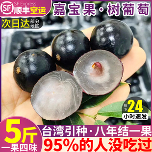 顺丰空运 4斤嘉宝果鲜果树葡萄新鲜罕见稀有水果黑提子当季整箱10