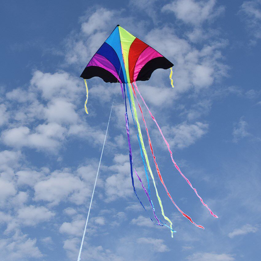 潍坊酷翔飞天彩虹风筝 大型成人微风好飞三角风筝 长尾 多彩儿童