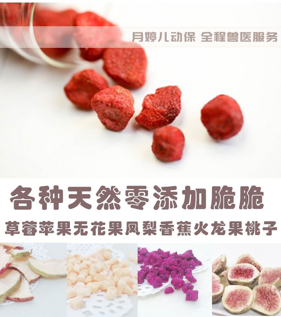 草莓脆脆香蕉无花果菠萝火龙果脆脆无添加零食兔子龙猫仓鼠豚鼠