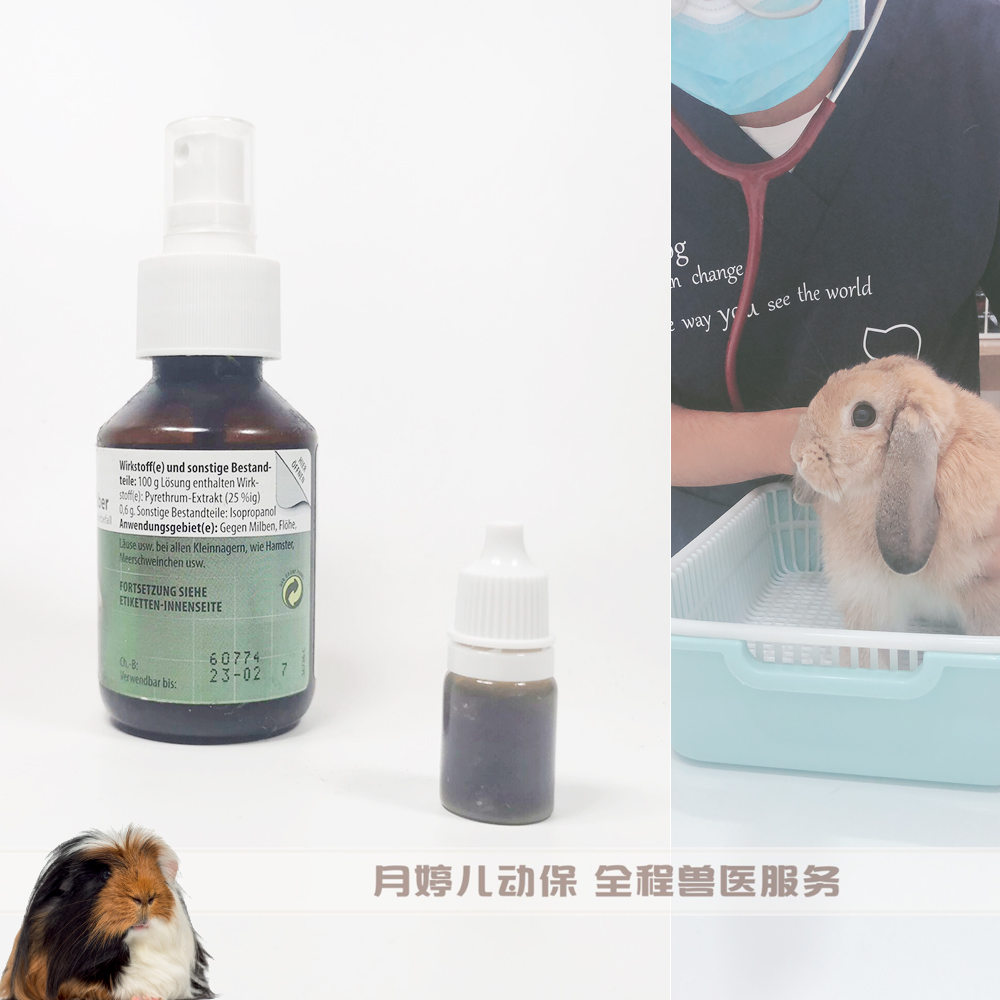 德药感咳液 兔豚鼠刺猬仓鼠貂松鼠蜜袋鼯感冒咳嗽流鼻涕鼻炎