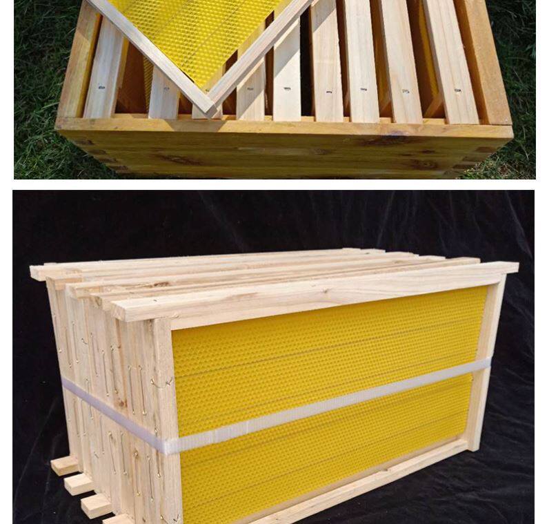 中蜂成品巢框优质带框八千巢础精品杉木峰框意锋巢脾养蜂工具包邮