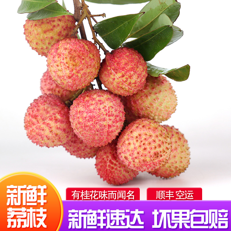 That day find fresh Litchi Season fruit Sugar vase Guiwei Feizixiao Full container Shunfeng 5in the Aquatic meat/Fresh fruits and vegetables/Cooked , Fresh fruit , Litchi category - from Buy2taobao.com to provide professional Taobao agent buy service