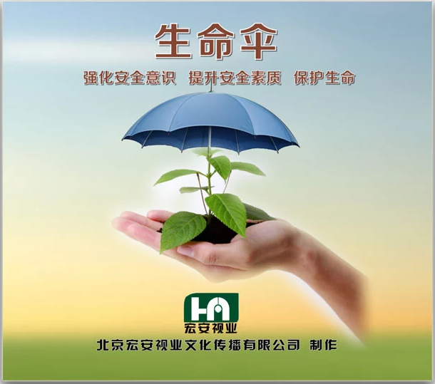 包发票 生命伞 强化安全意识,提升安全素质,保护生命 2dvd 现货