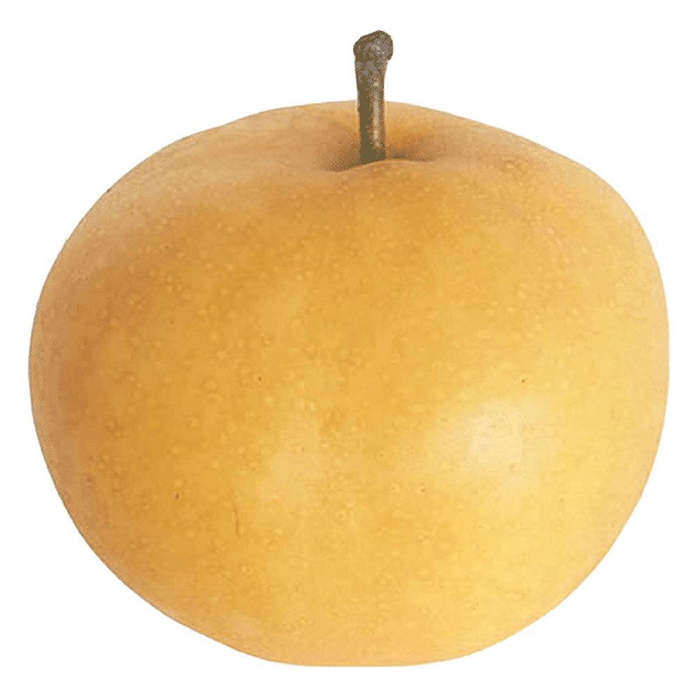 客聚多莱阳丰水梨五斤 脆甜梨子新鲜水果