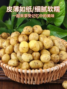 正宗恩施小土豆10斤新鲜士豆黄心富硒蔬菜迷你马铃薯湖北农家洋芋