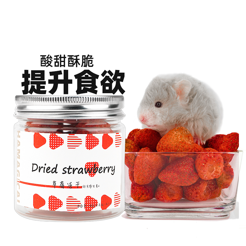 仓鼠零食草莓冻干提升食欲花枝鼠刺猬小宠金丝熊粮食互动营养用品