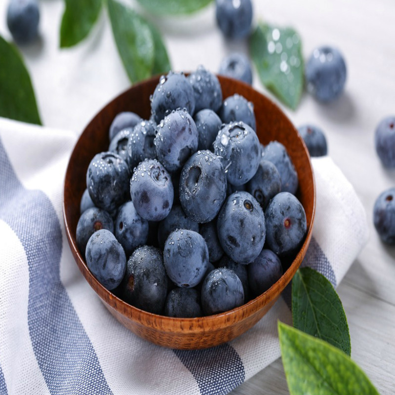 新鲜蓝莓4盒装一盒125g 顺丰包邮