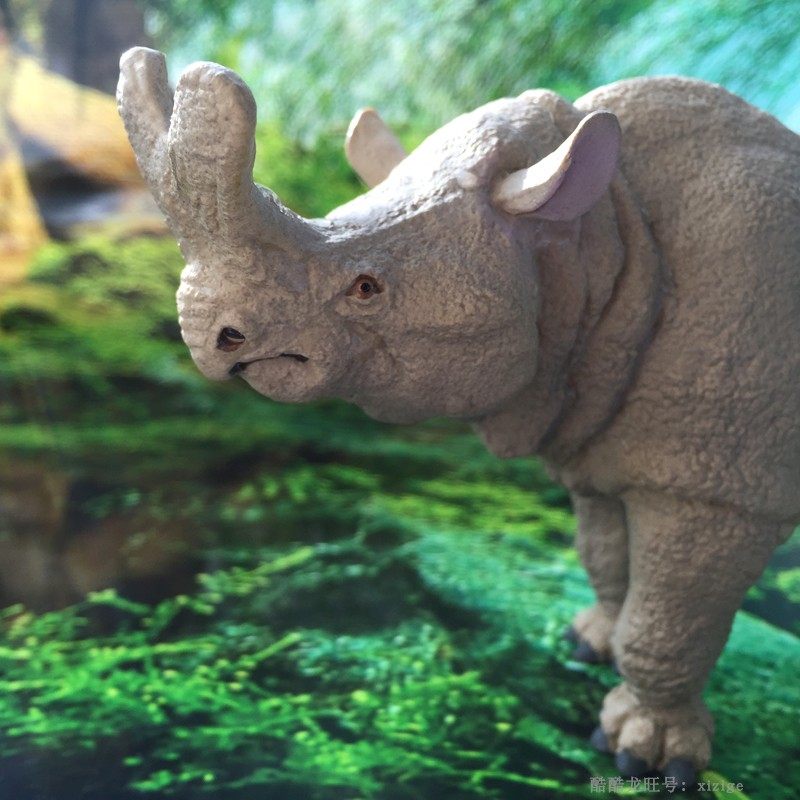 新款玩具 美国safari正品巨角犀静态模型玩偶 摆件 节日礼物特价