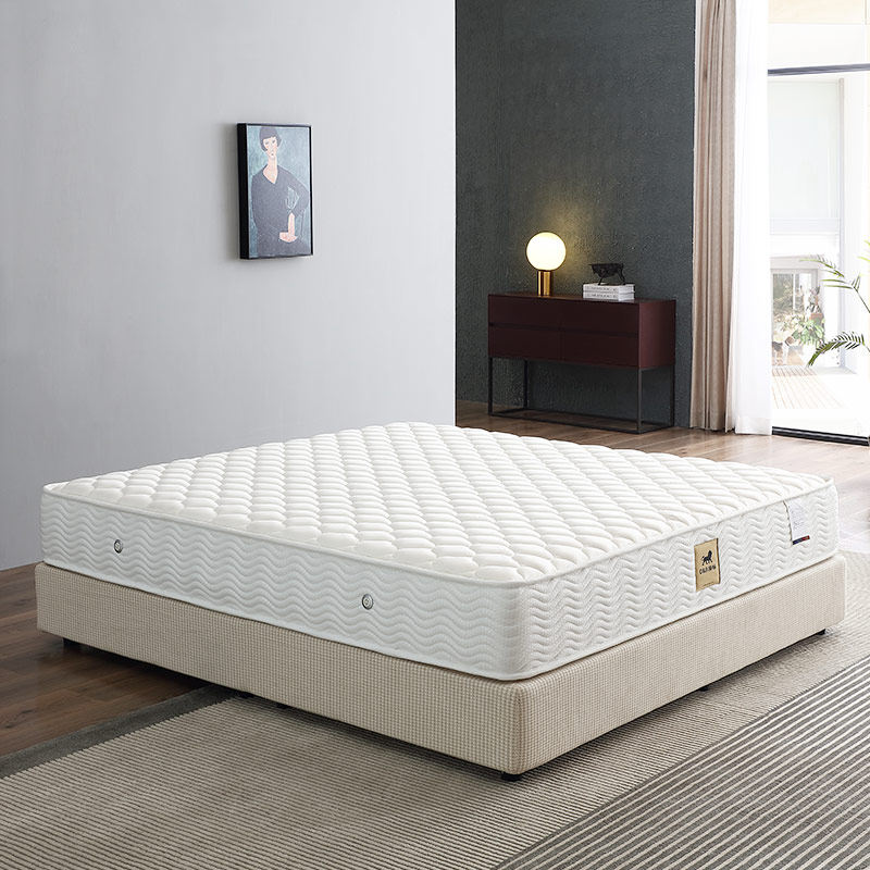 帝标家具席梦思独立弹簧3d床垫加密海绵双人床1.8米卧室1.5米 t66