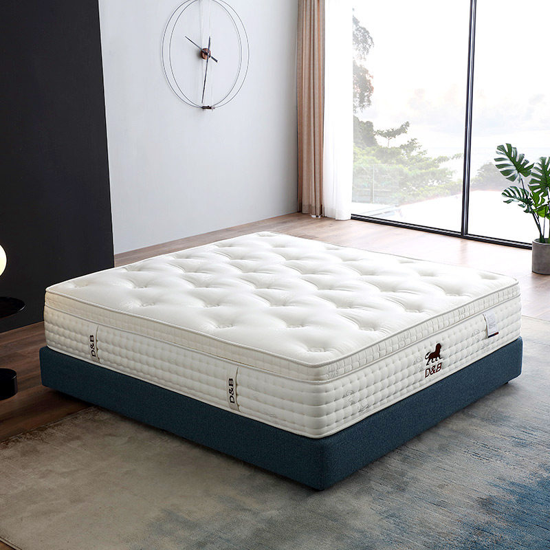 帝标家具天然乳胶床垫独立静音弹簧硬垫棕垫卧室1.8m床防螨床垫