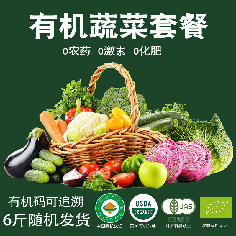 珍为贵 有机蔬菜绿色礼盒随机6斤新鲜配送套餐包邮