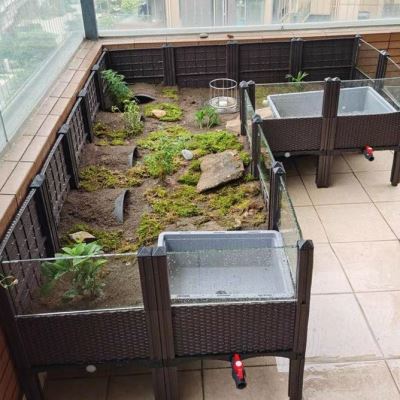 黄缘龟饲养箱安缘台缘专用生态植物造景环境养殖大型乌龟缸玻璃