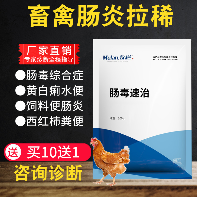 鸡用肠道药肠炎腹泻拉稀肠毒清鸡用止痢散黄白痢禽药鸭鹅鸡药包邮