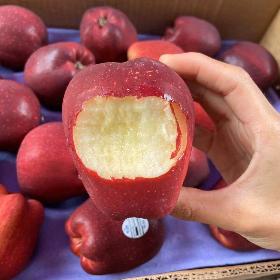 包邮 【蛇果】美国红蛇果 进口苹果 新鲜水果 10只装 进口蛇果包邮