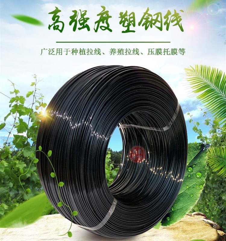 黑色钢托膜线钢丝养殖压膜搭架拉线多种温室塑钢线 大棚线钢塑线|ruв категории доставка цветов/цветок моделирования/растения садоводства, садовых принадлежностей, других садовых принадлежностей - от Buy2taobao.com для оказания профессиональной услуги покупки агента Taobao