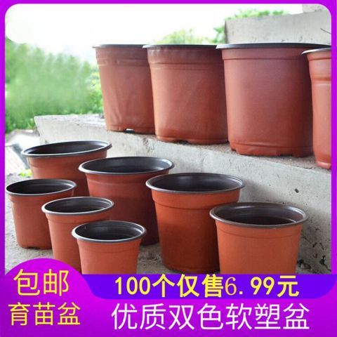 双色花盆种植育苗盆营养钵塑料一次性