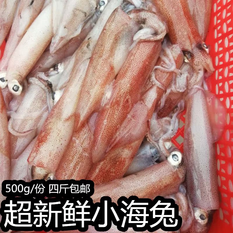 笔管鱼鲜活鱿鱼籽乌贼满籽新鲜海兔籽乌满籽小鱿鱼墨斗鱼目鱼包邮|msdalam kategori daging perikanan/Buah-buahan segar dan sayur-sayuran/dimasak, makanan laut/produk akuatik/produk, lain - dari Buy2taobao.com untuk memberikan perkhidmatan ejen Taobao profesional membeli