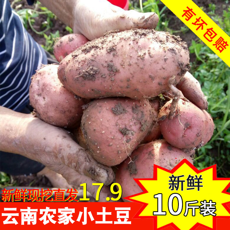 云南红皮黄心小土豆新鲜10斤农家自种蔬菜迷你小土豆大马铃薯