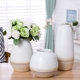 现代简约欧式陶瓷小花瓶客厅摆件  白色花器水培插花满天星粗陶罐