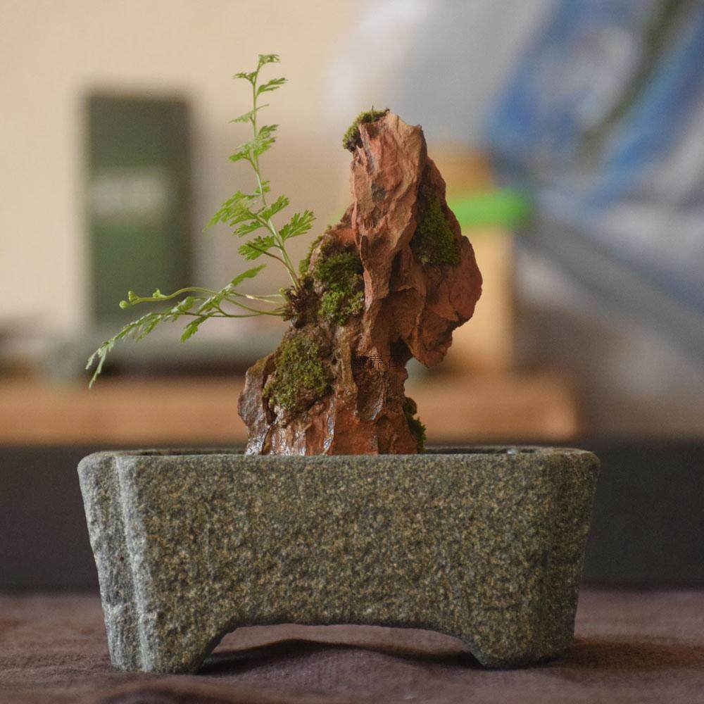 青石槽小号桌面水底盆石头微景观办公桌绿植天然原石整块雕刻