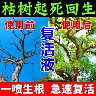 大树移植生根液果树强力生根剂植物通用浓缩生根粉死苗烂根复活灵